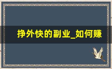 挣外快的副业_如何赚钱比较快副业