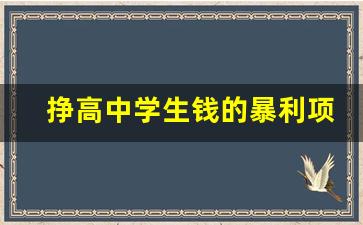 挣高中学生钱的暴利项目