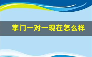 掌门一对一现在怎么样了