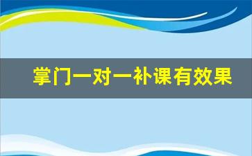 掌门一对一补课有效果吗_掌门一对一