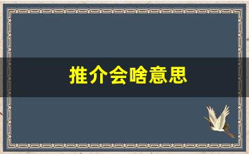 推介会啥意思