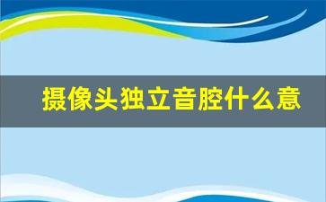 摄像头独立音腔什么意思_摄像头上面的喇叭干什么用的