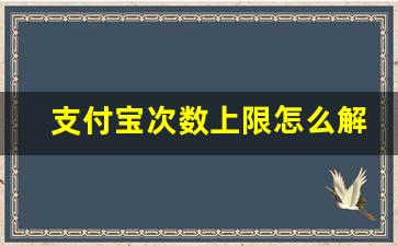 支付宝次数上限怎么解决