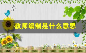 教师编制是什么意思