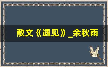 散文《遇见》_余秋雨散文我在等你原文