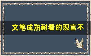 文笔成熟耐看的现言不狗血_文笔超惊艳的高质量小说现代言情