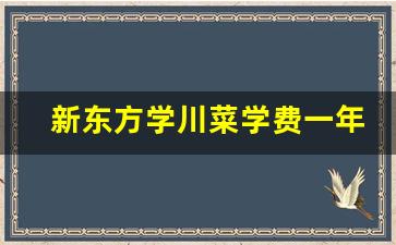 新东方学川菜学费一年多少