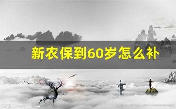 新农保到60岁怎么补交钱_新农保一次性补缴4万5