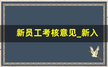 新员工考核意见_新入职员工考核评价表