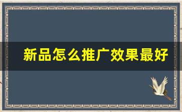 新品怎么推广效果最好