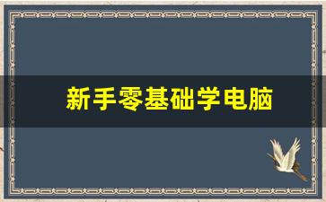 新手零基础学电脑