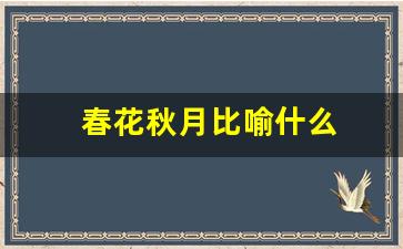 春花秋月比喻什么