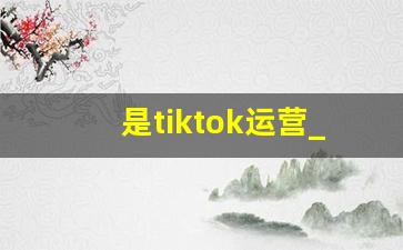 是tiktok运营_tiktok成功