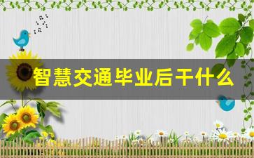 智慧交通毕业后干什么_智慧交通工资一般多少