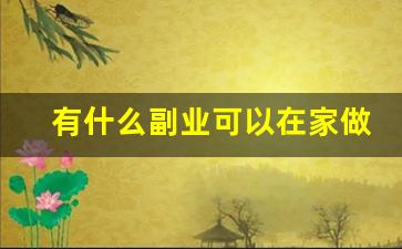 有什么副业可以在家做_13个在家赚钱的兼职