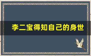 李二宝得知自己的身世_平凡岁月李大宝后期变了