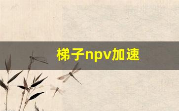 梯子npv加速