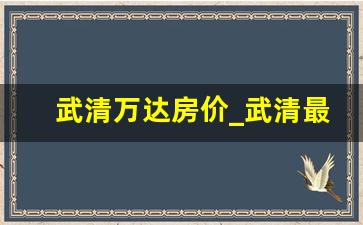 武清万达房价_武清最新房价