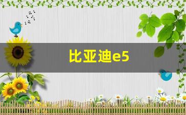 比亚迪e5