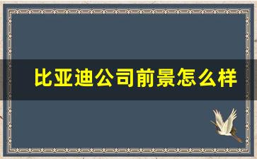 比亚迪公司前景怎么样