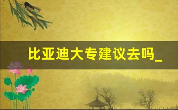 比亚迪大专建议去吗_比亚迪面试会查大专学历吗