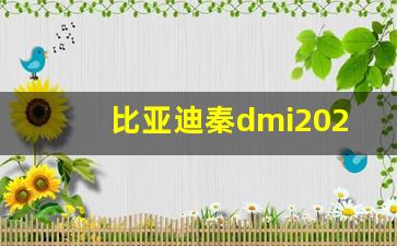 比亚迪秦dmi2024款