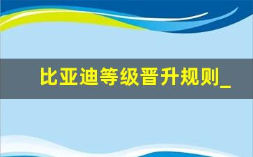 比亚迪等级晋升规则_比亚迪公司职位等级