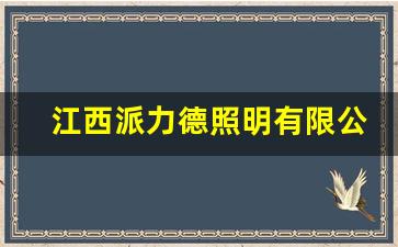 江西派力德照明有限公司