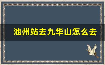 池州站去九华山怎么去