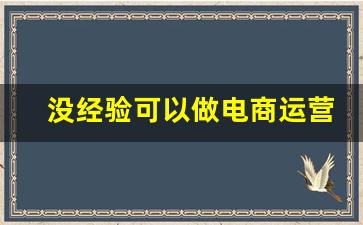 没经验可以做电商运营吗_零基础怎么做电商