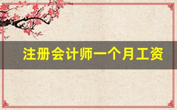 注册会计师一个月工资