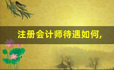 注册会计师待遇如何,收入有多高_35岁学会计还能找到工作吗