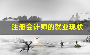 注册会计师的就业现状