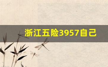 浙江五险3957自己要交多少钱_浙江缴费基数3957交满20年