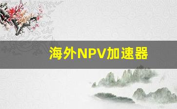 海外NPV加速器
