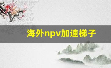 海外npv加速梯子