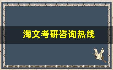 海文考研咨询热线