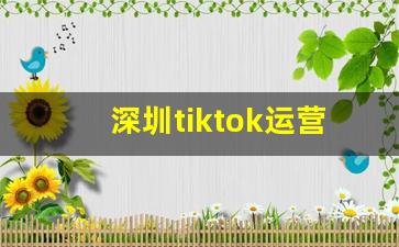 深圳tiktok运营