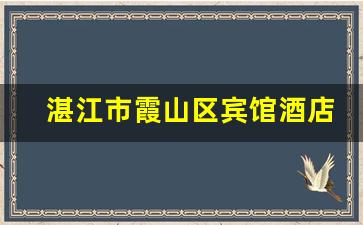 湛江市霞山区宾馆酒店_霞山附近宾馆