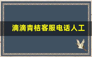 滴滴青桔客服电话人工服务电话_青桔人工服务95066电话打不通