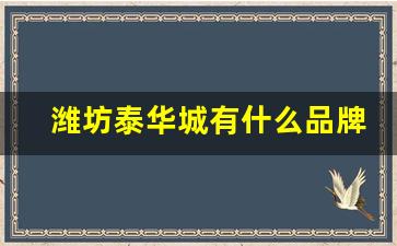 潍坊泰华城有什么品牌_潍坊坊子泰华城女装