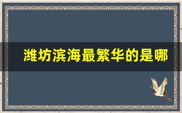 潍坊滨海最繁华的是哪里_潍坊滨海美食