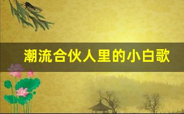 潮流合伙人里的小白歌曲