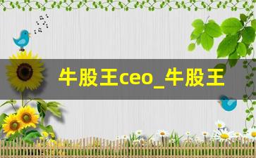 牛股王ceo_牛股王官网