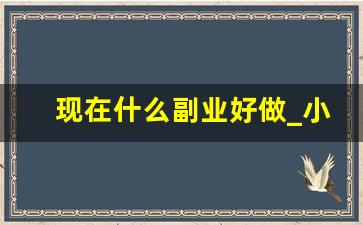 现在什么副业好做_小副业项目大全