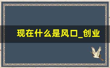 现在什么是风口_创业的注意事项