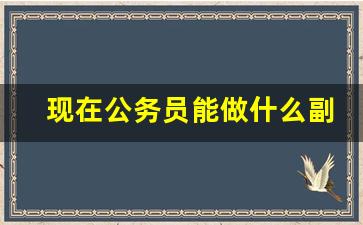 现在公务员能做什么副业