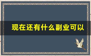 现在还有什么副业可以赚点钱_我该干点什么赚点钱