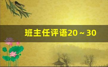 班主任评语20～30字