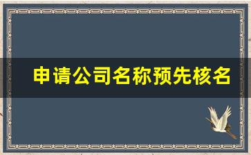 申请公司名称预先核名_企业预核名网上流程